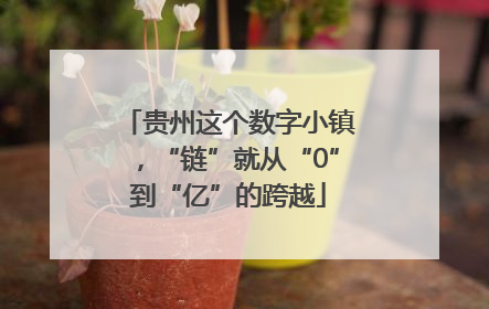 贵州这个数字小镇，“链”就从“0”到“亿”的跨越